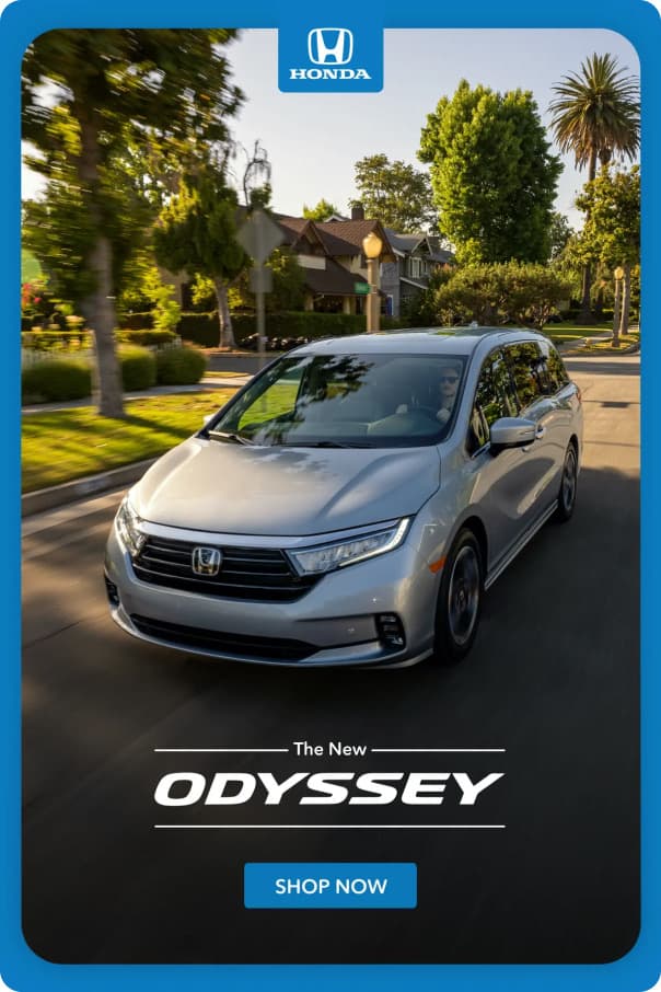 Enchanted Odyssey