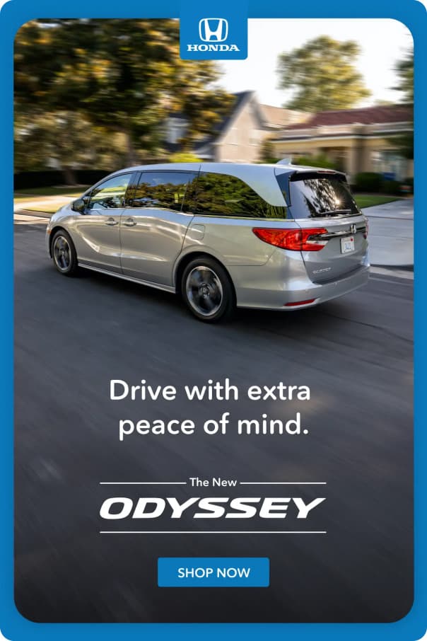 Enchanted Odyssey